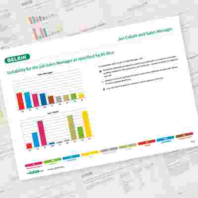 Belbin Job Comparison Report Jan Cobalt And Sales Manager Showcase 1