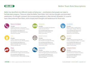 Belbin Team Role Descriptions
