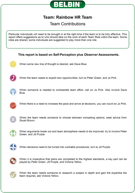 Belbin Chart