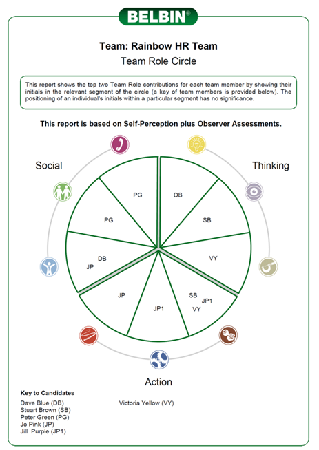 Belbin Chart