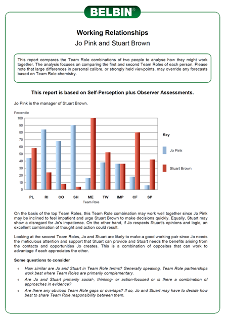 Belbin Chart