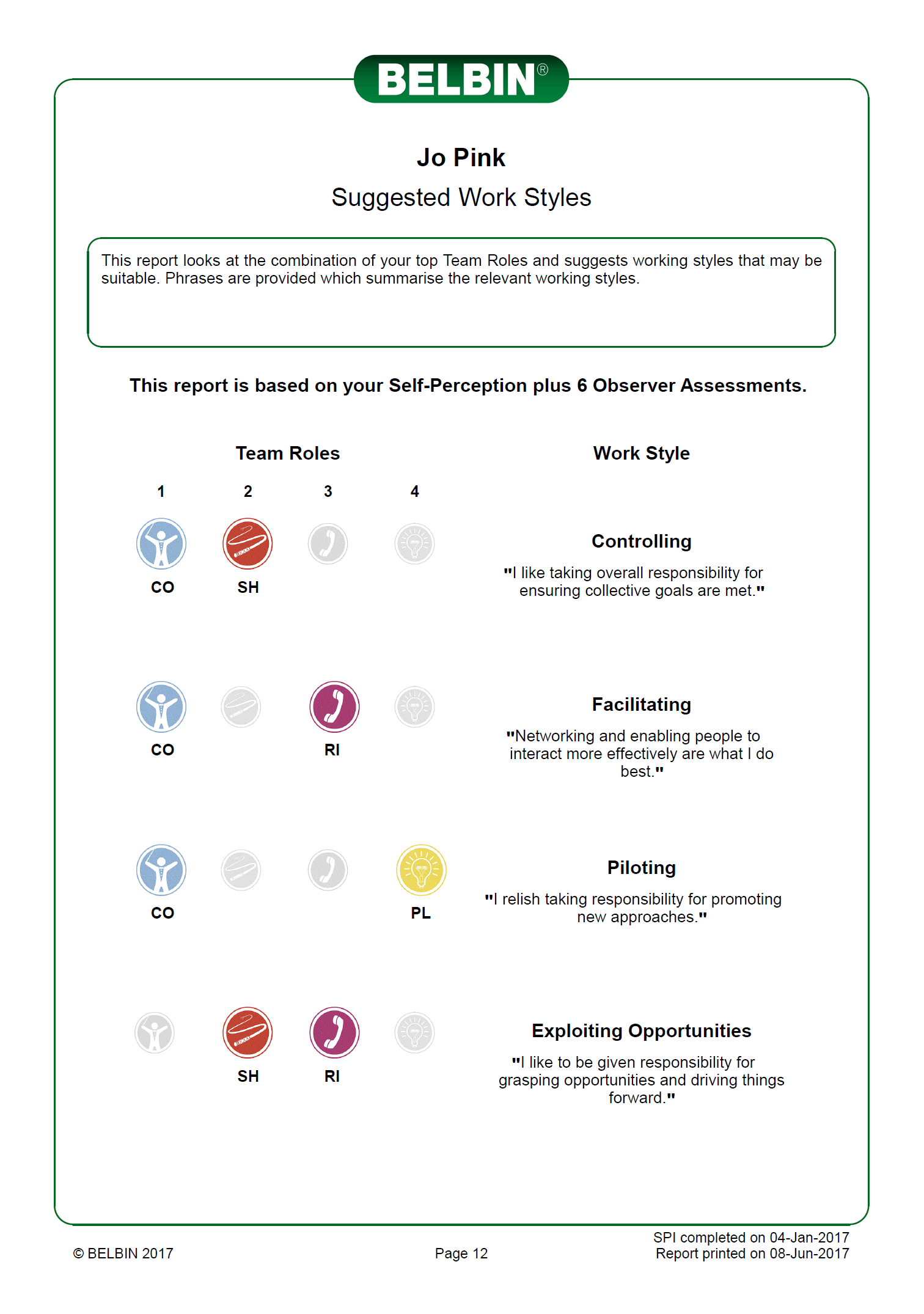 Belbin Chart