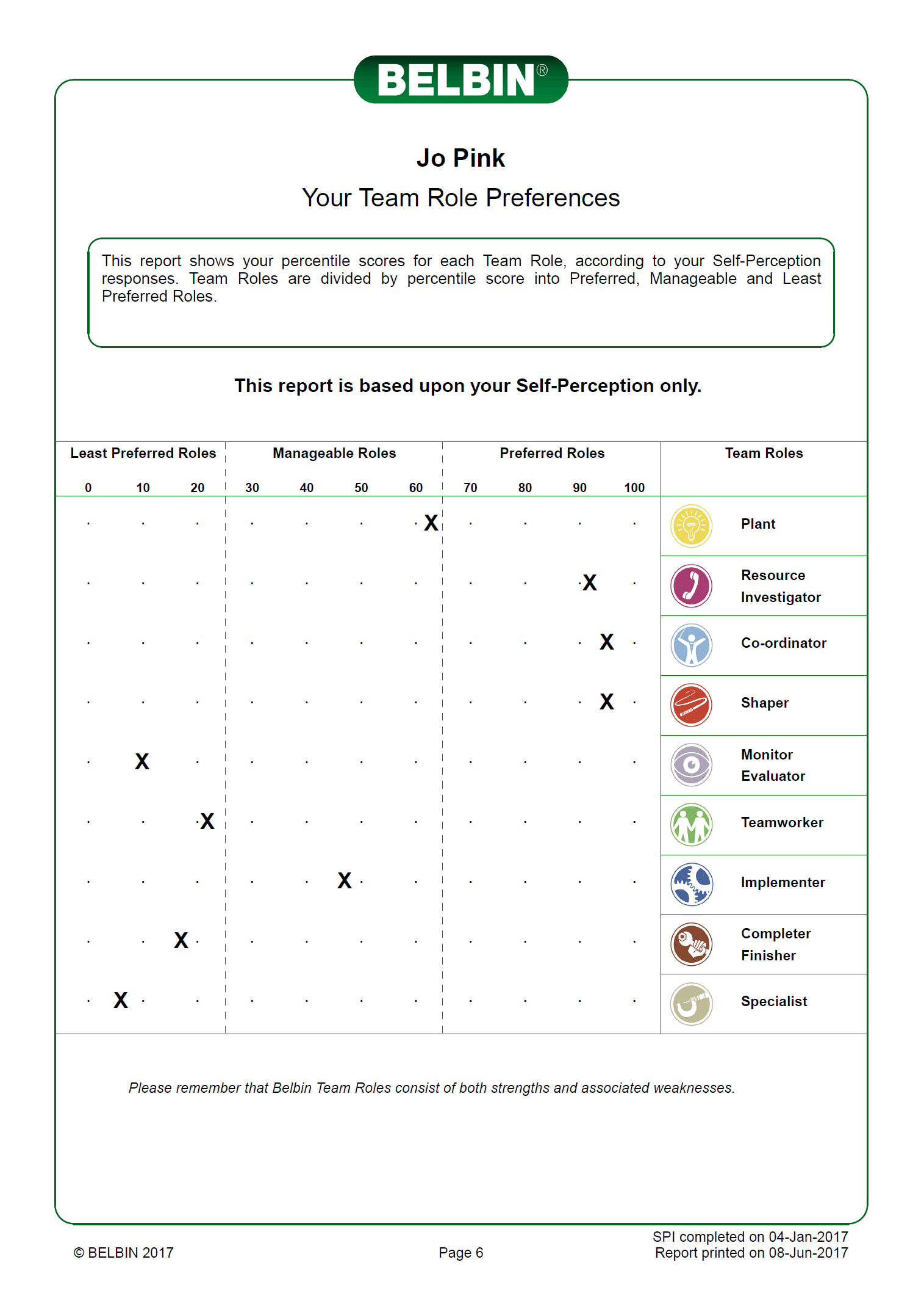 Belbin Chart