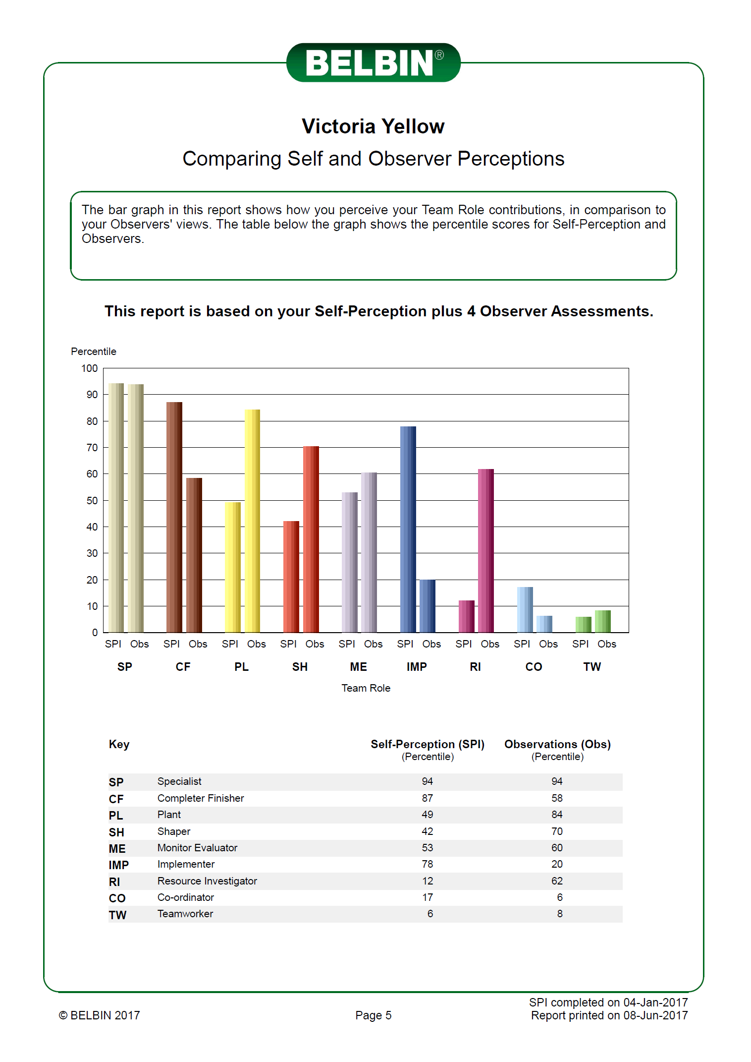 Belbin Chart