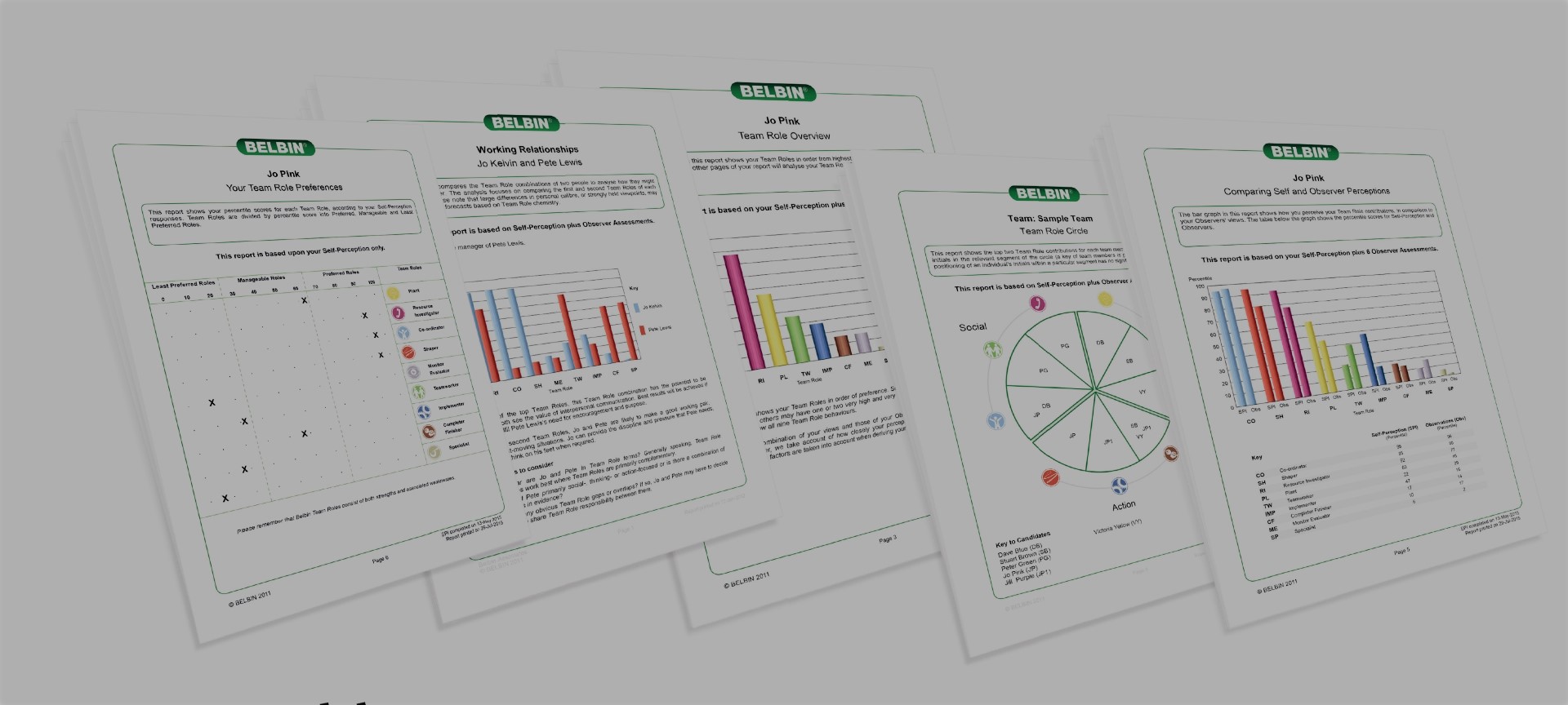 Belbin Chart