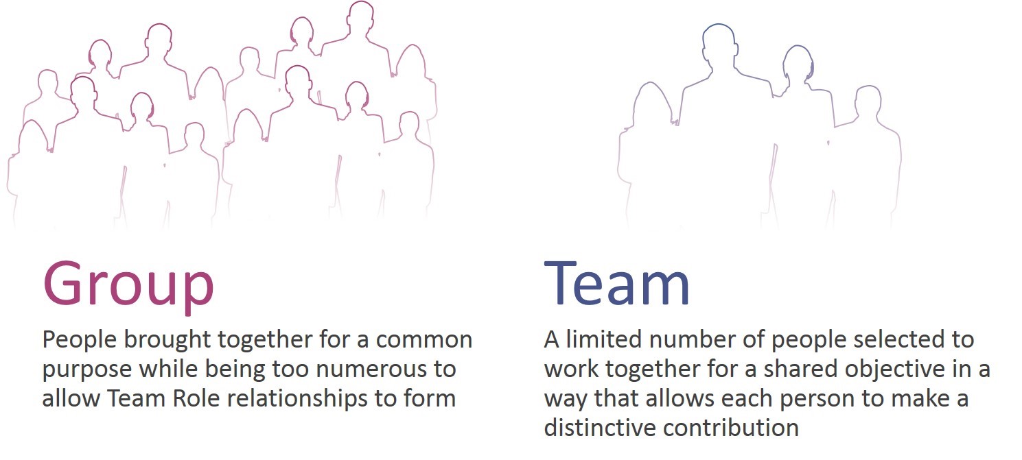 group or team.jpg