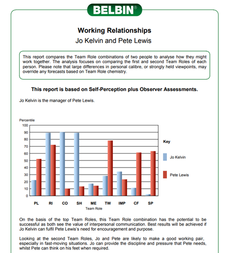 Belbin Team Role Working Relationship Report