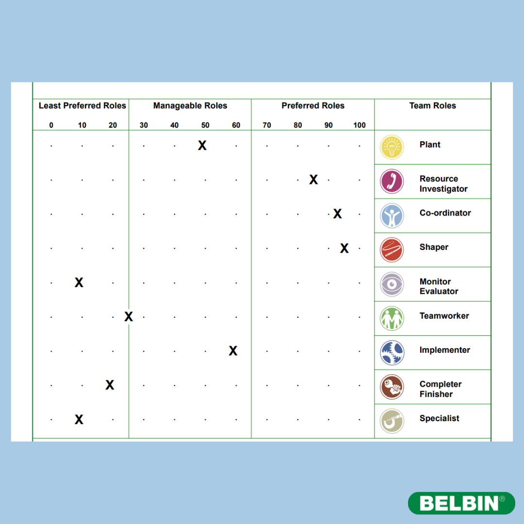 Belbin Team Roles Preferred Managable And Least Preferred Roles