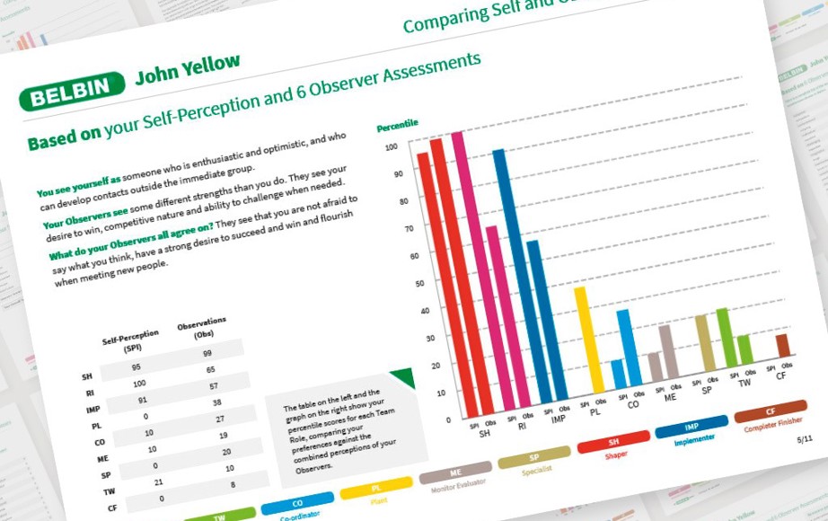 Belbin Questionnaire Chart.pdf Belbin Leadership