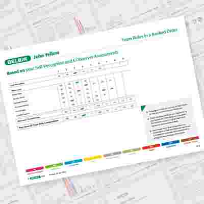 John Yellow Page 9 Showcase Belbin Team Role Report