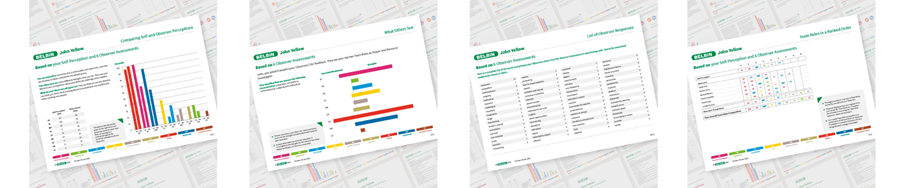 Belbin Individual report pages highlighting Observer input