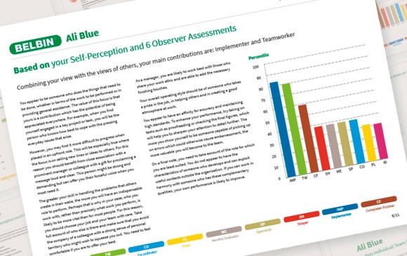 Belbin Self Perception Inventory.pdf Belbin Leadership