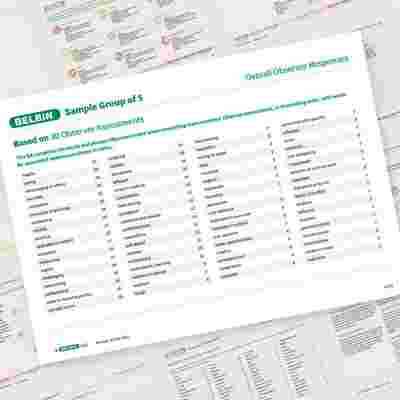 Belbin Observer Assessment.pdf Belbin, teams and the social contract