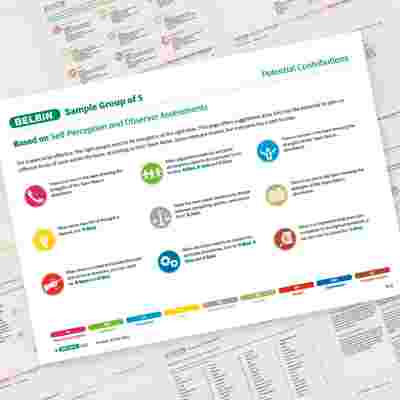 Belbin Team Report Potential Contributions Showcase