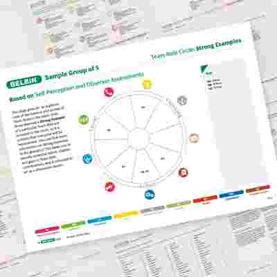 Monitor Belbin Rol Team coaching