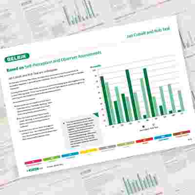 Belbin Working Relationship Report Jan Cobalt And Rob Teal Showcase