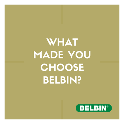 What Made You Choose Belbin