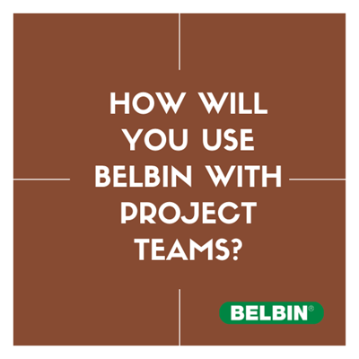 How Will You Use Belbin With Project Teams