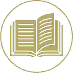 Specialist RGB SOLID Outline