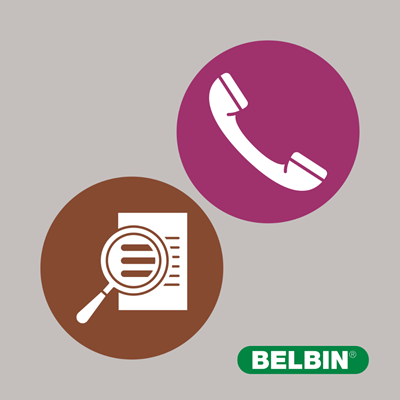 Belbin Resource Investigator And Completer Finisher 2023