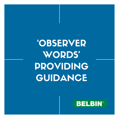 Observer Feedback Guidance
