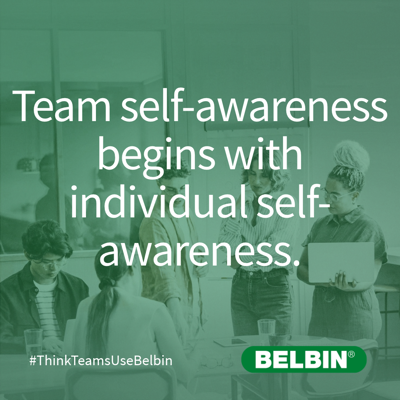 Team Self Awareness Begins With Individual Self Awareness.