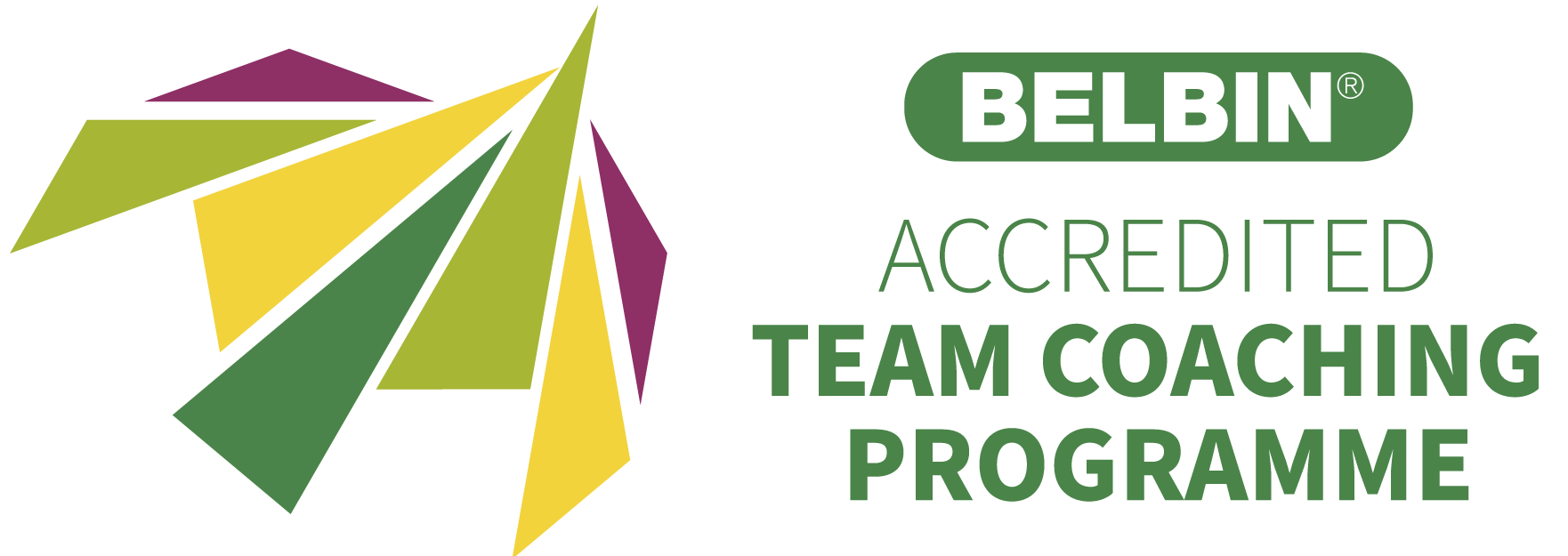 Belbin Accreditedteamcoachingprogramme Horizontal