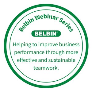 Belbin Webinar Series Logo