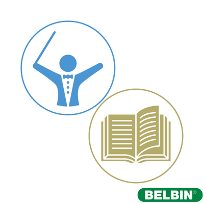 BELBIN ICONS (1)