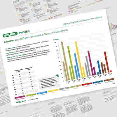 Belbin Web Showcase Individual Personc 05