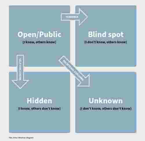 Belbin Team Roles And Johari Window Diagram