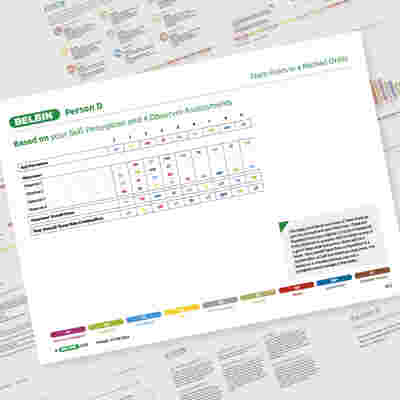 Belbin Web Showcase Individual Persond 09
