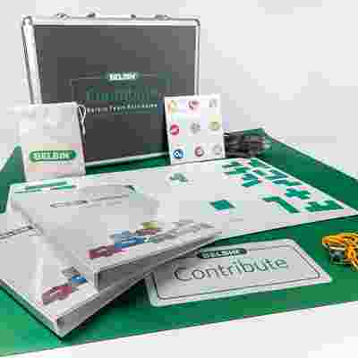 Belbin Contribute Game all components