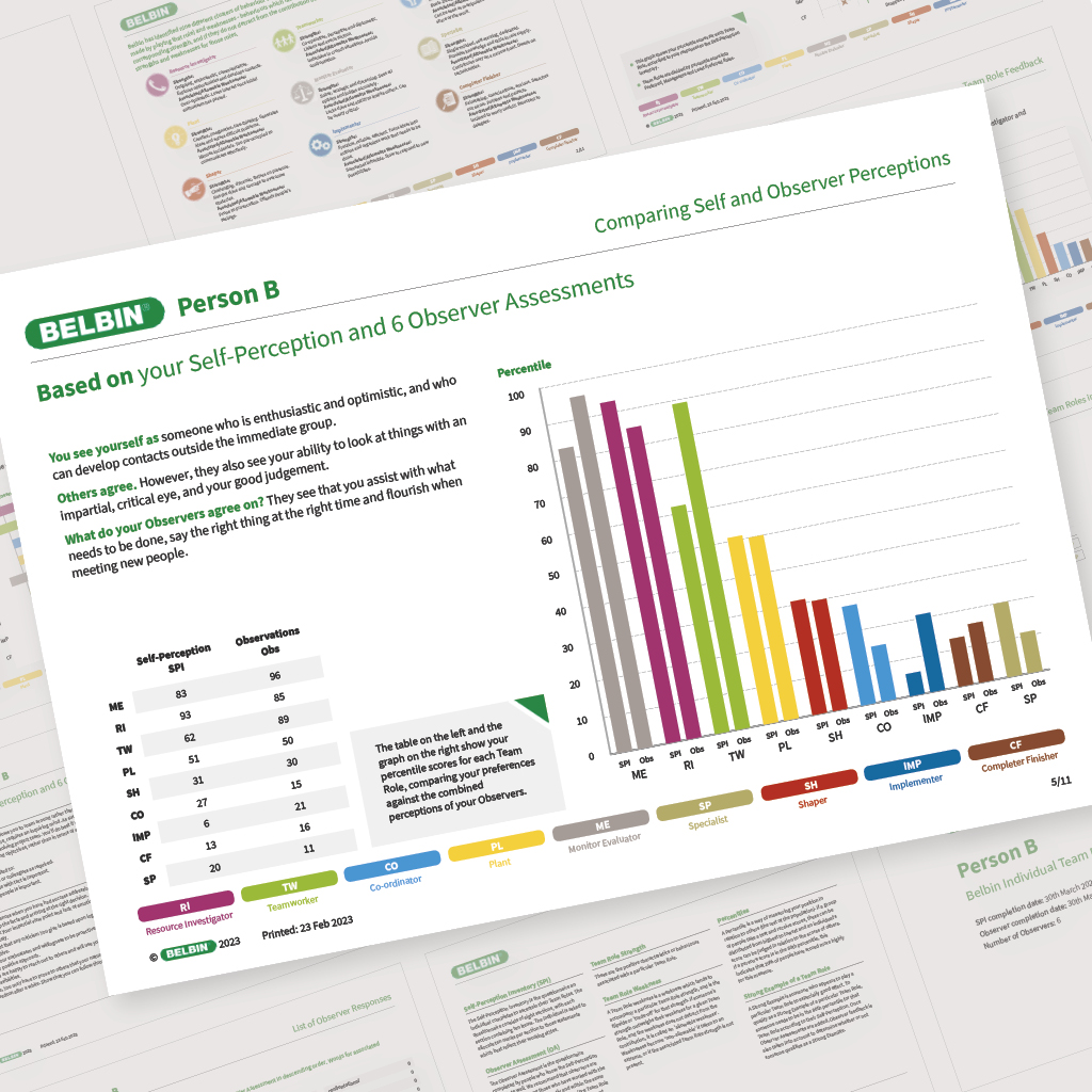Belbin Web Showcase - Coherent