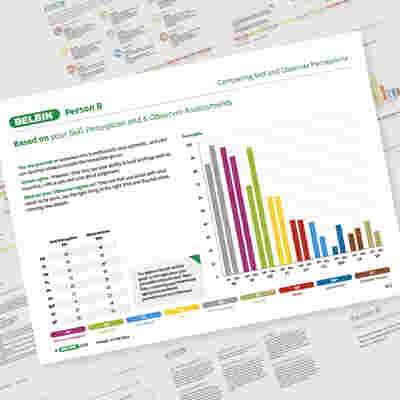 Belbin Web Showcase Individual Personb 05