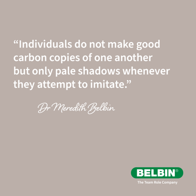 Belbin LI Quotes7