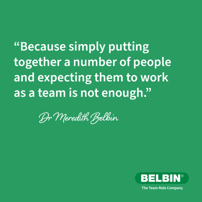 Belbin LI Quotes
